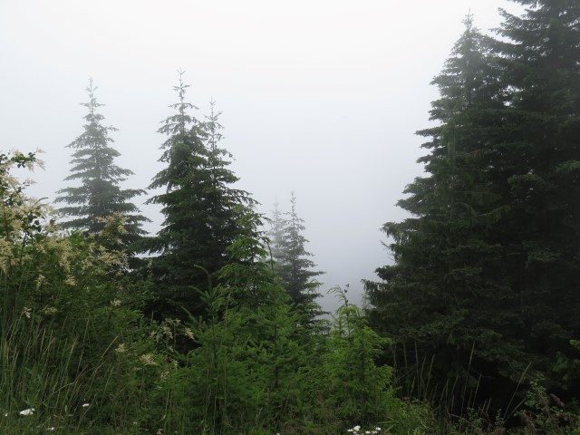20160702 Olympic NP MG_0757 (Small)